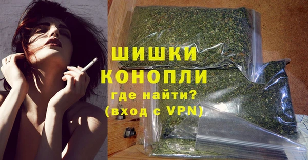 ECSTASY Богданович