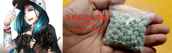 ECSTASY Богданович